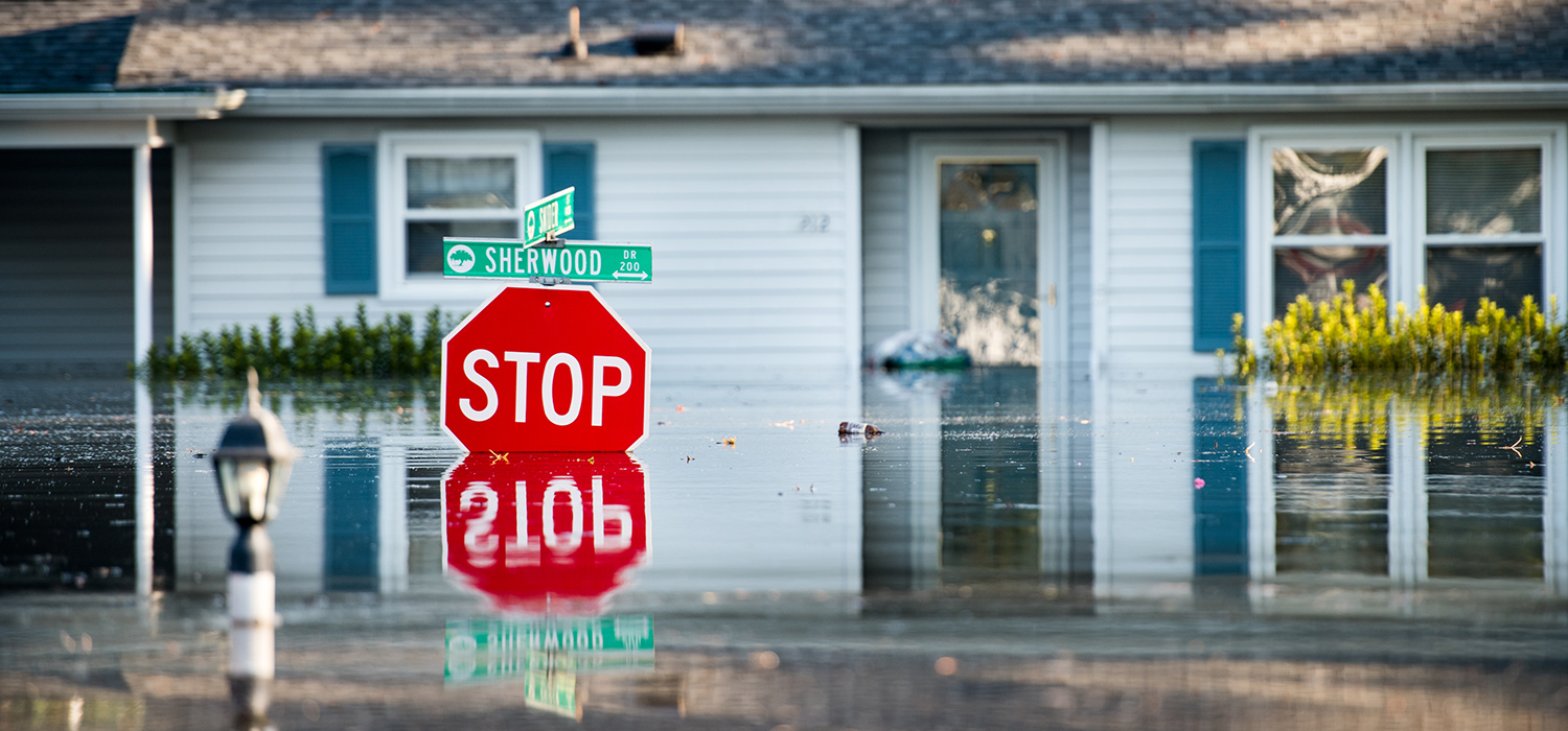 Media Name: gettyimages-1041032674_cropped_for_blog_1.jpg