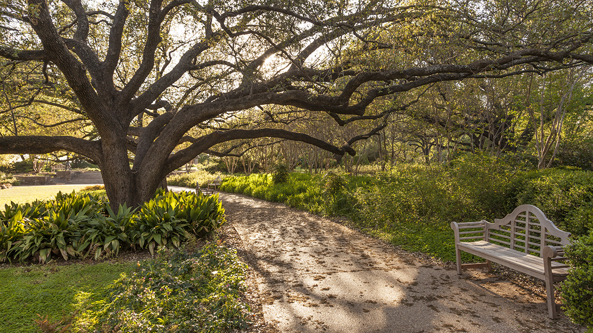 A photo of a park. 