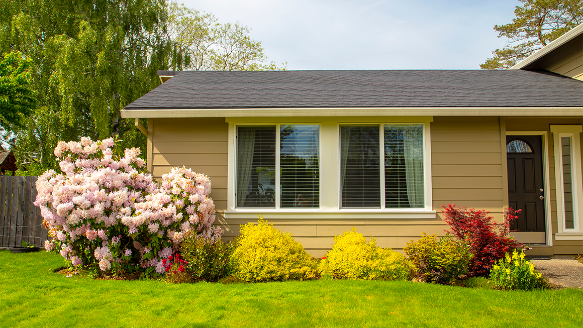 image of a house with bushes and flowers in front of it.