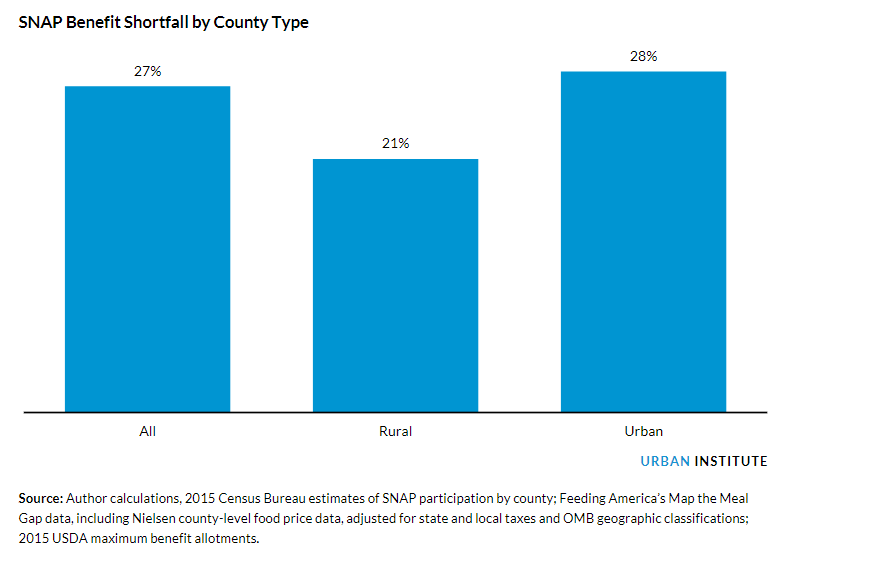 snap benefit by county type