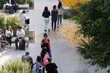 Media Name: gettyimages-567361235-community-college-event.jpg