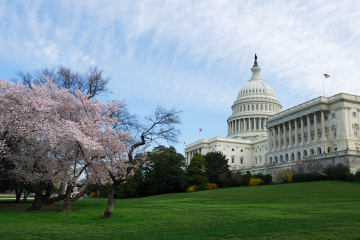 photo of capitol building in DC