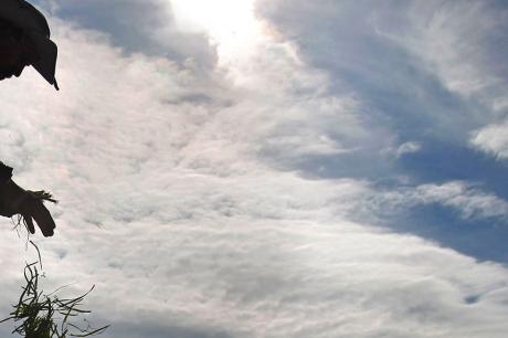 Hidden in Plain Sight