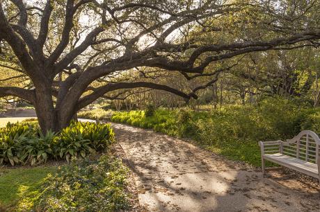 A photo of a park. 