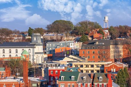 Skyline with houses